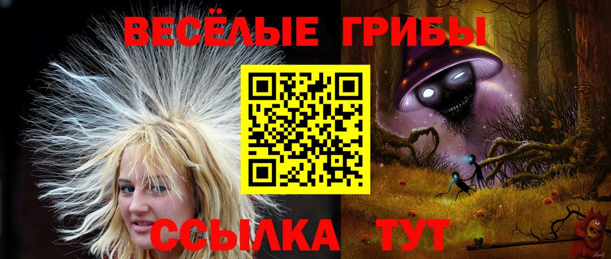 Псилоцибиновые грибы прущие грибы  Вход с VPN  Южно-Сахалинск 